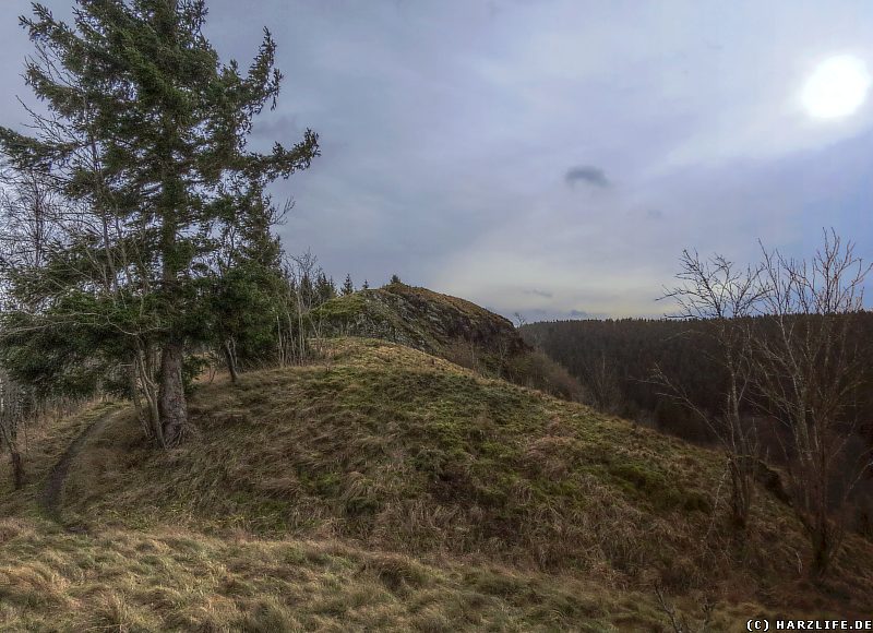 Burgruine Susenburg - Reste der vorgelagerten Wall-Graben-Anlagen