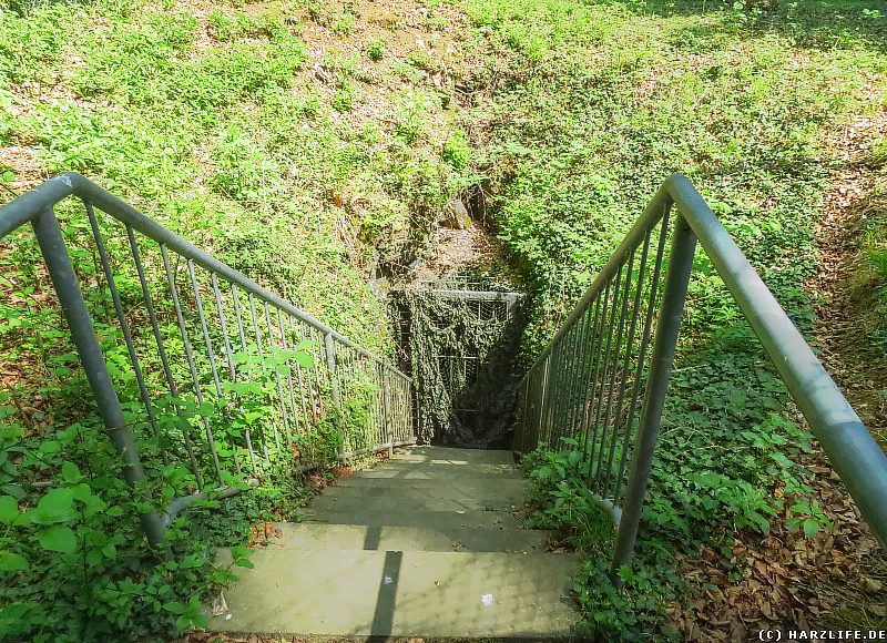 Der alte Ausgang der Einhornhöhle