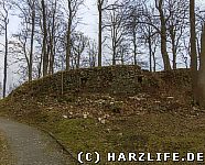 Ruinen der Burg Elbingerode