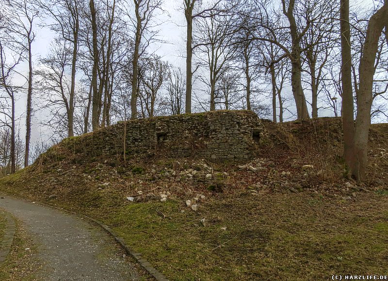 Ruinen der Burg Elbingerode auf dem Gelände des Schloßparks