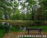 Am Großen Teich