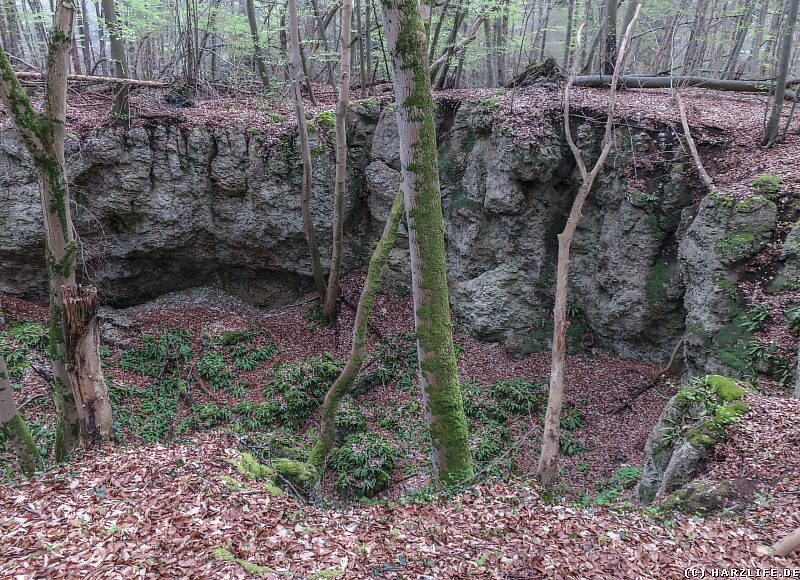 Der Hirschzungen-Erdfall