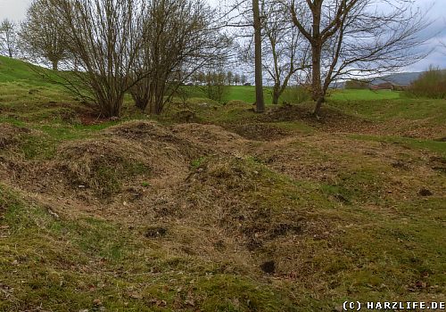 Im Naturschutzgebiet Hainholz