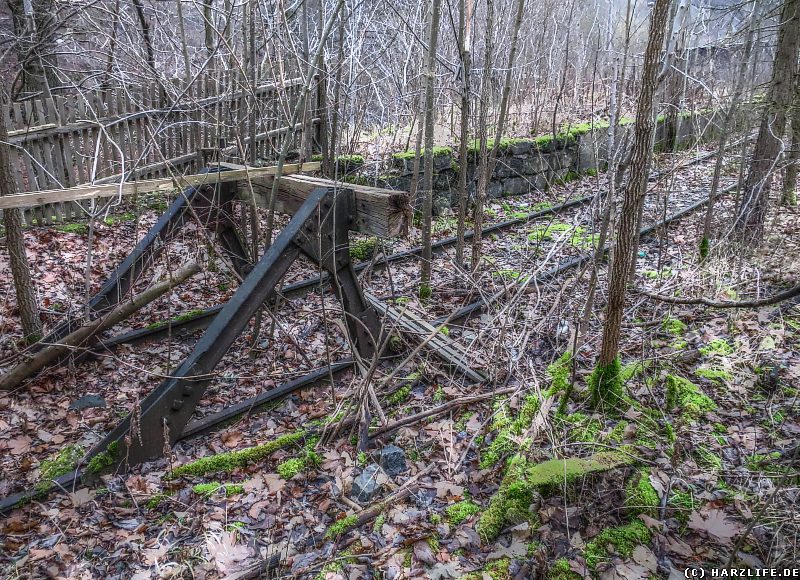 Gleisrest unweit des alten Rübeländer Bahnhofes