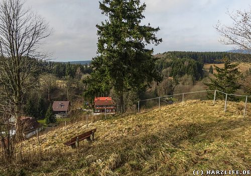 Das Naturschutzgebiet Bockberg