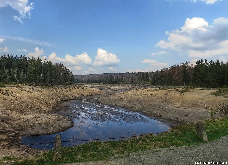 Der leere Oderteich im Frühjahr 2016