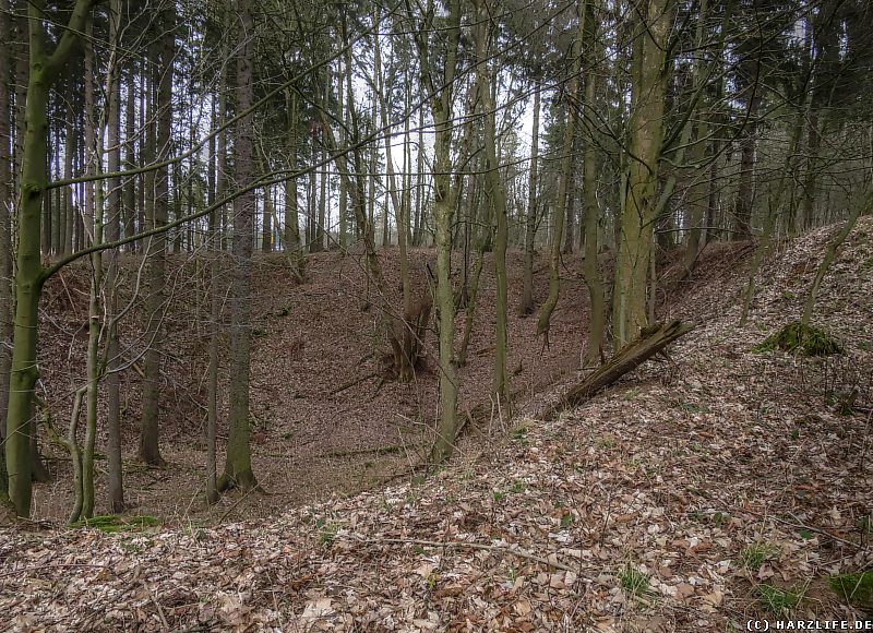 Pinge des Altbergbaus am Büchenberg-Sattel