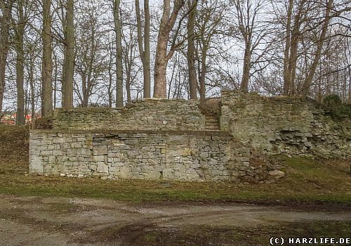 Die Burg- und Schloßruine in Elbingerode