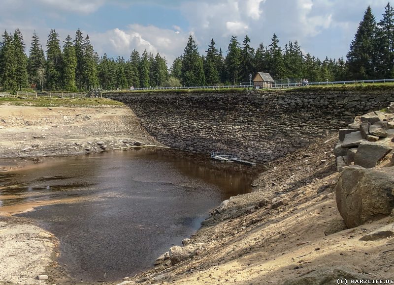 Sanierungsarbeiten am Staudamm des Oderteiches