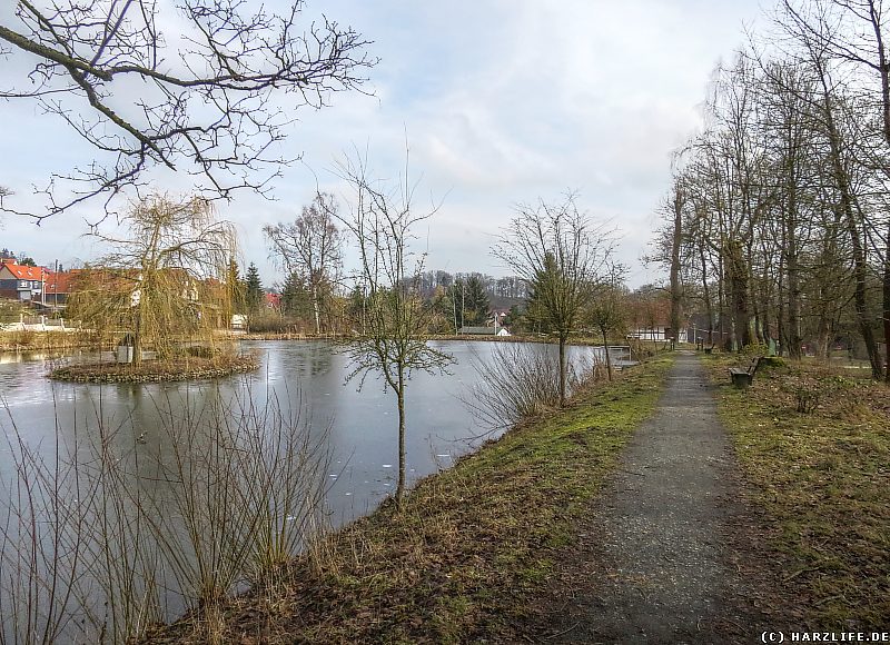 Parkanlage mit Teichen in Elbingerode