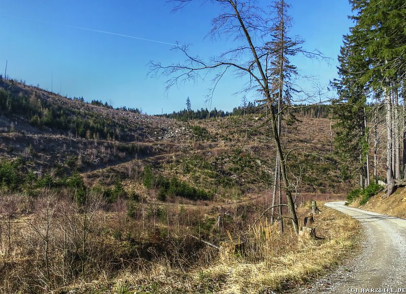 Im Thumkuhlental mit Blick zum Kontorkopf