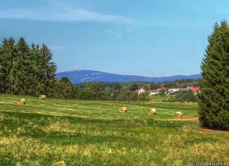 Aussicht auf den Brocken