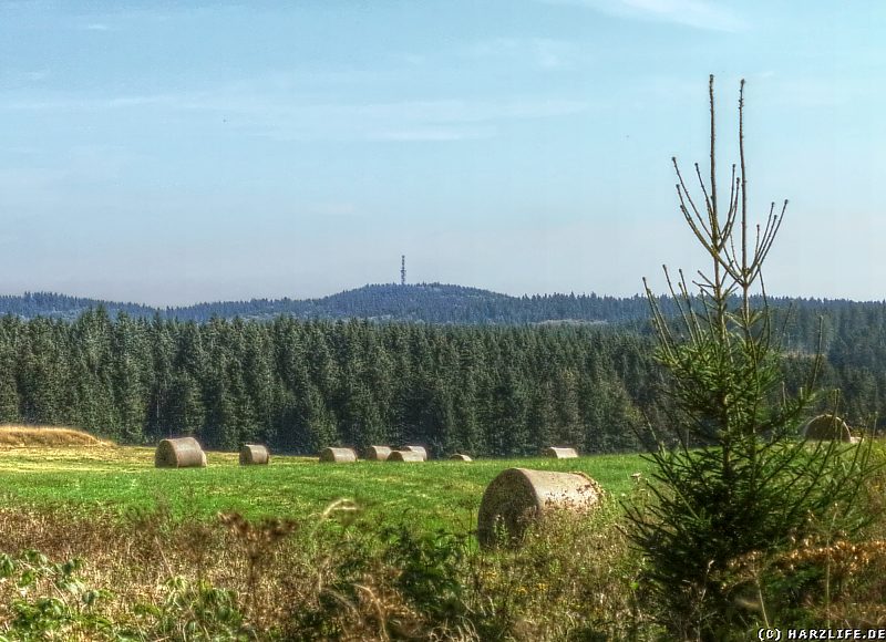 Ausblick auf den Carlshausturm