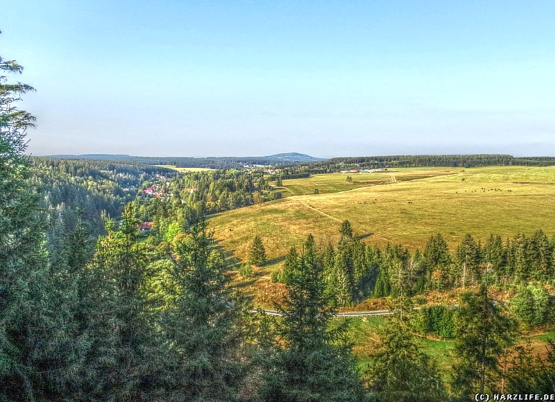 Aussicht vom Kapitelsberg auf Tanne