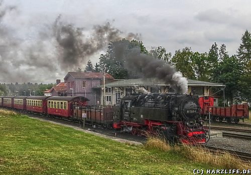 Der Bahnhof Benneckenstein