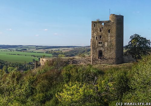 Burgruine Arnstein - Ostansicht