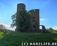 Palasruine und Bergfried