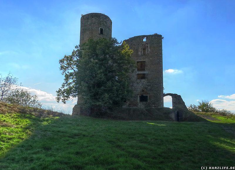 Burgruine Arnstein - Palasruine und Bergfried