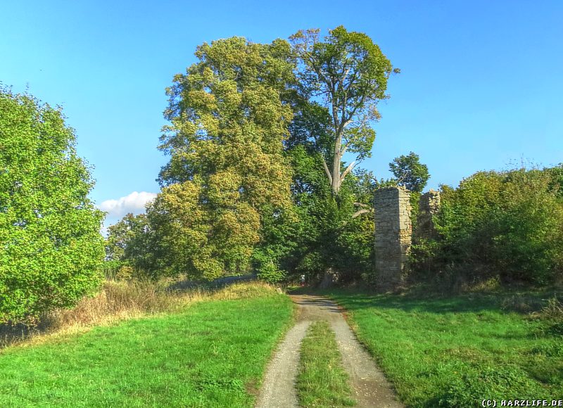 Burgruine Arnstein - Ruinen auf dem Gelände der Vorburg