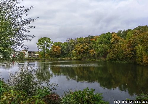 Der Klusteich in Goslar