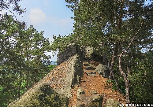 Teufelsmauer-Kammweg